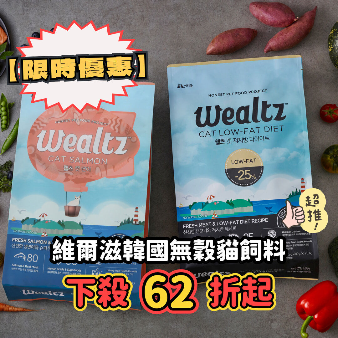 Wealtz 維爾滋｜韓國無榖貓飼料 1.2/2.1/6kg