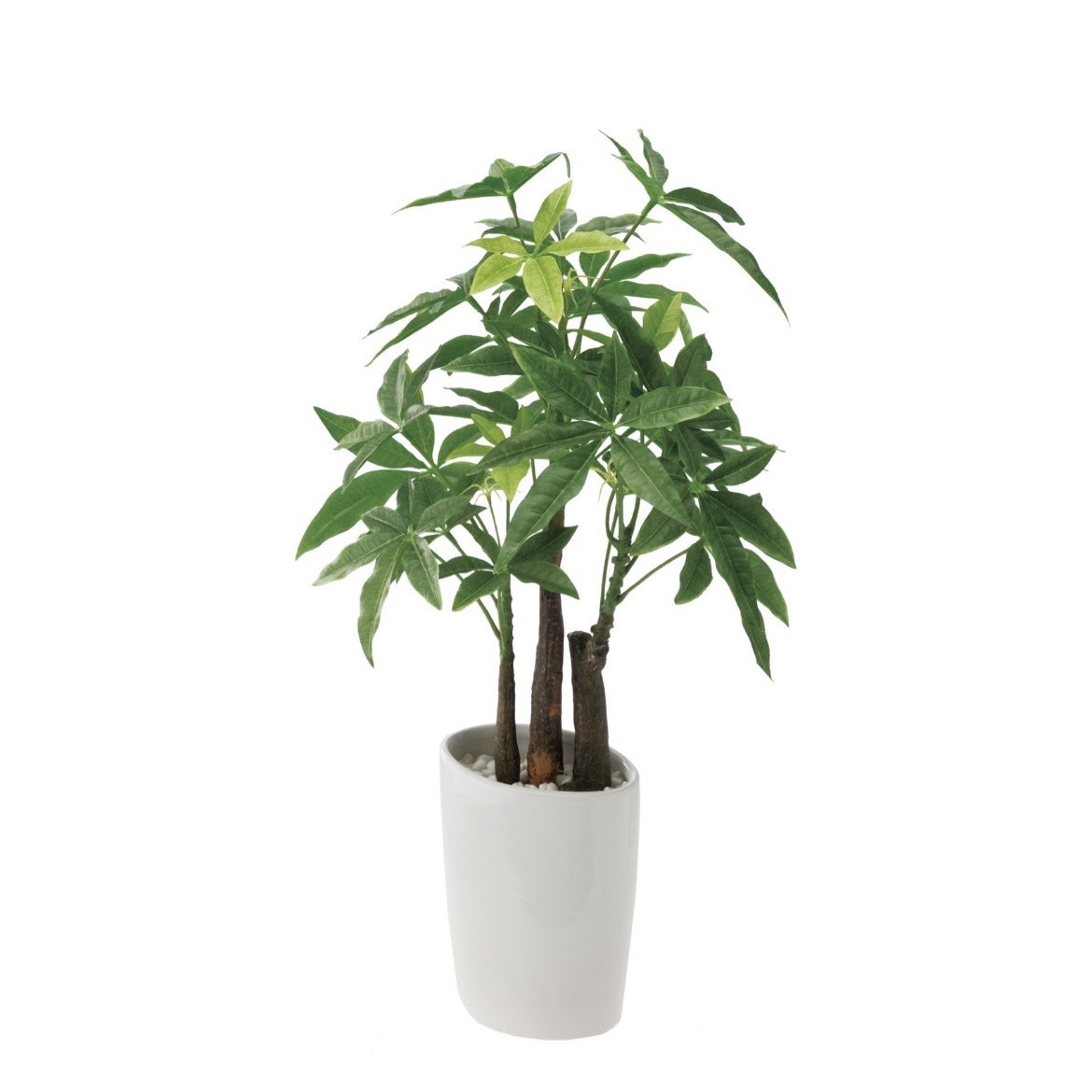 擬真樹 長葉發財樹 小型 50cm