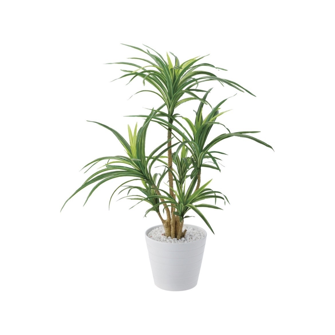 擬真樹 絲蘭 小型 60cm