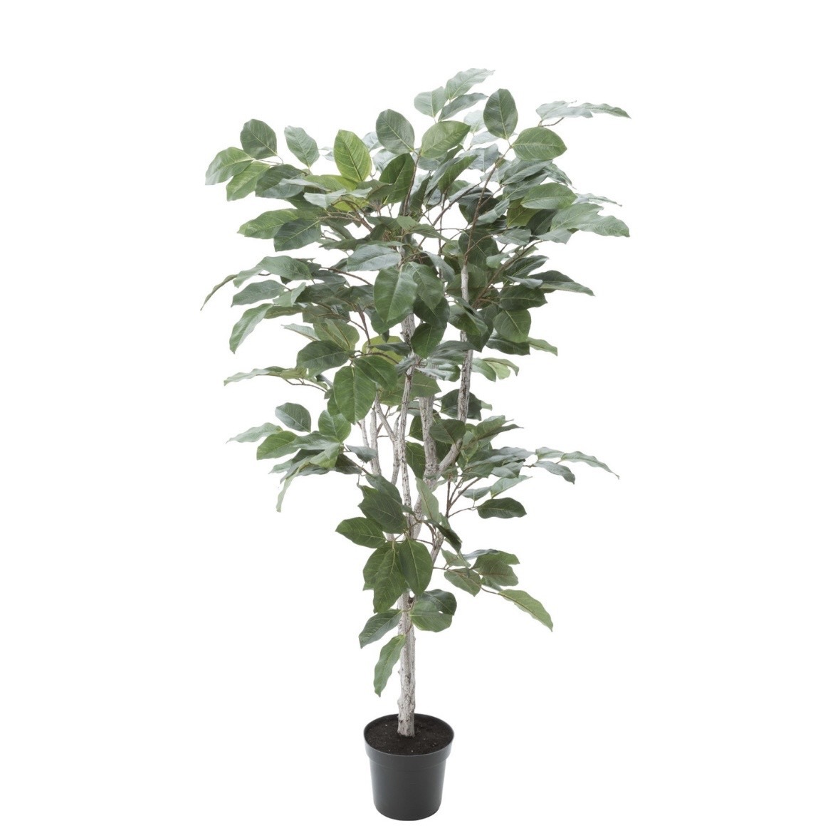 擬真樹 孟加拉榕 160cm