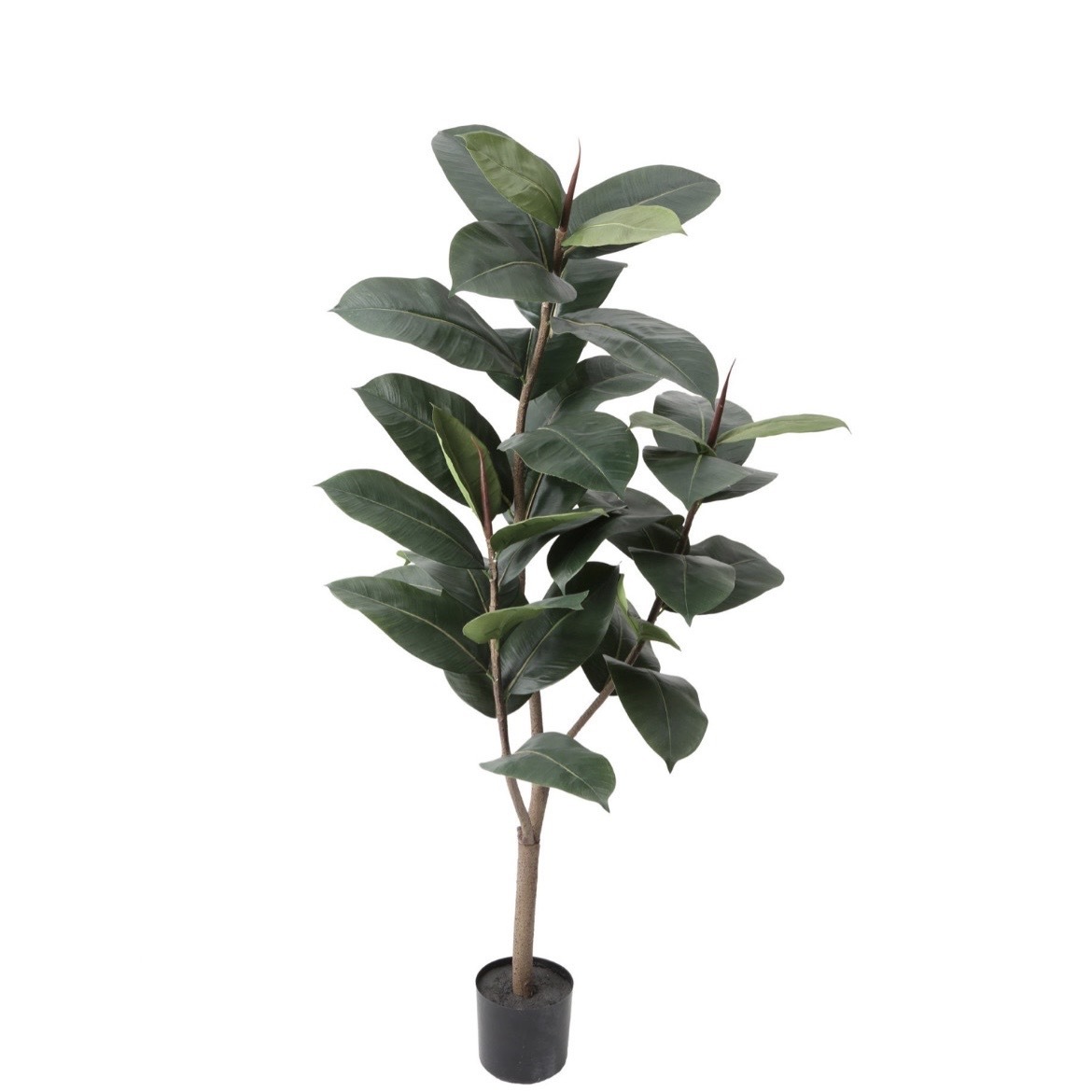 擬真樹 印度榕 125cm