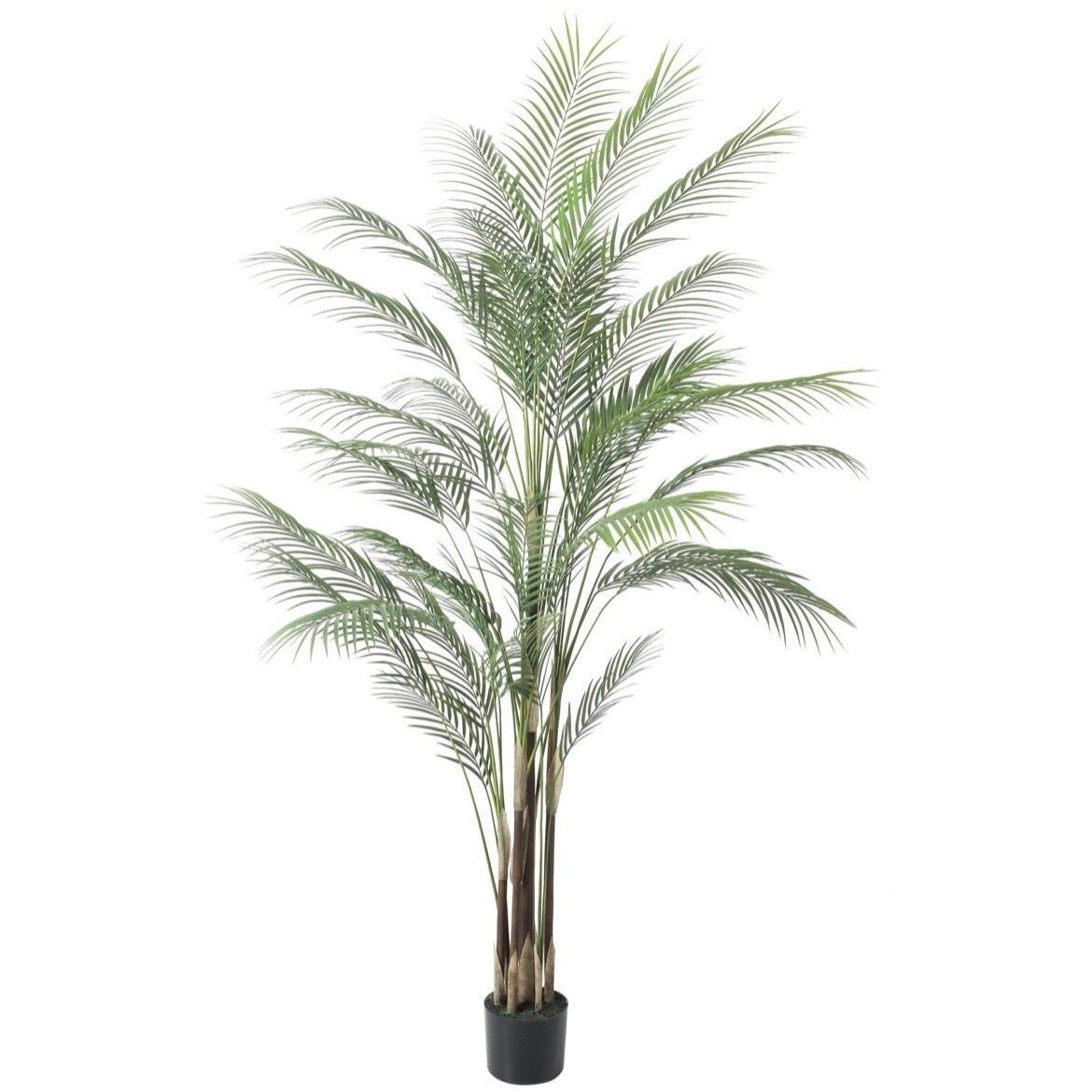擬真樹 檳榔棕櫚 185cm