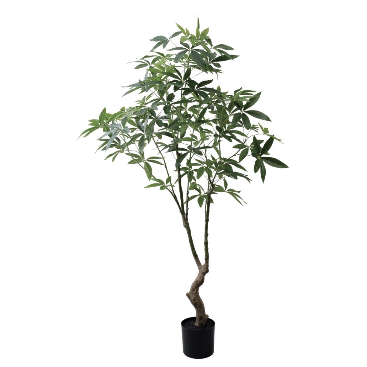 擬真樹 發財樹 180cm