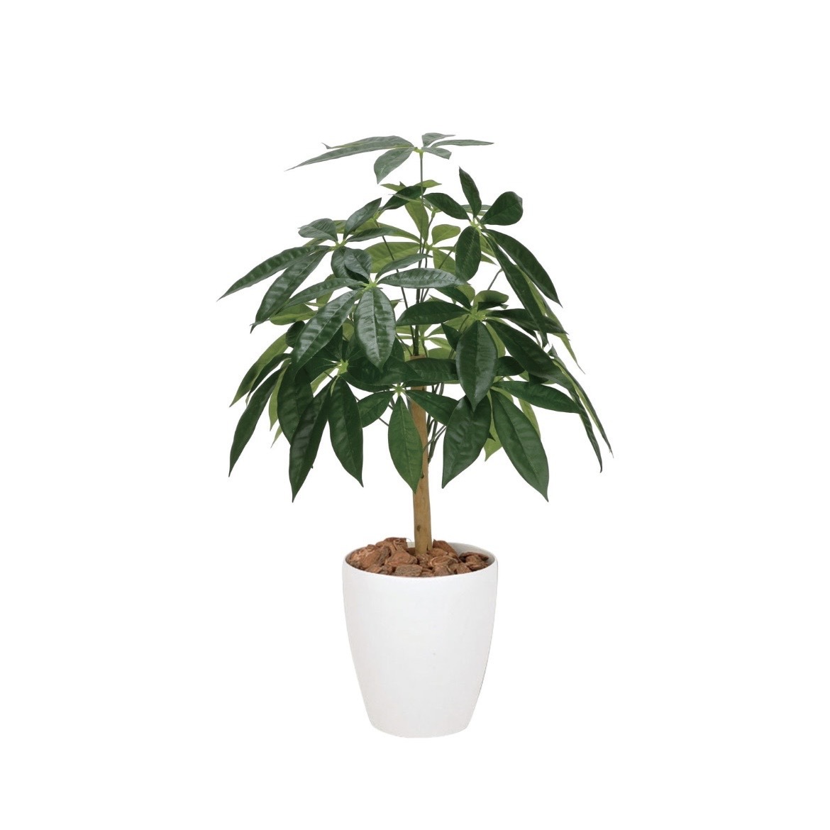 V-CAT擬真樹系列-發財樹 小型 72CM