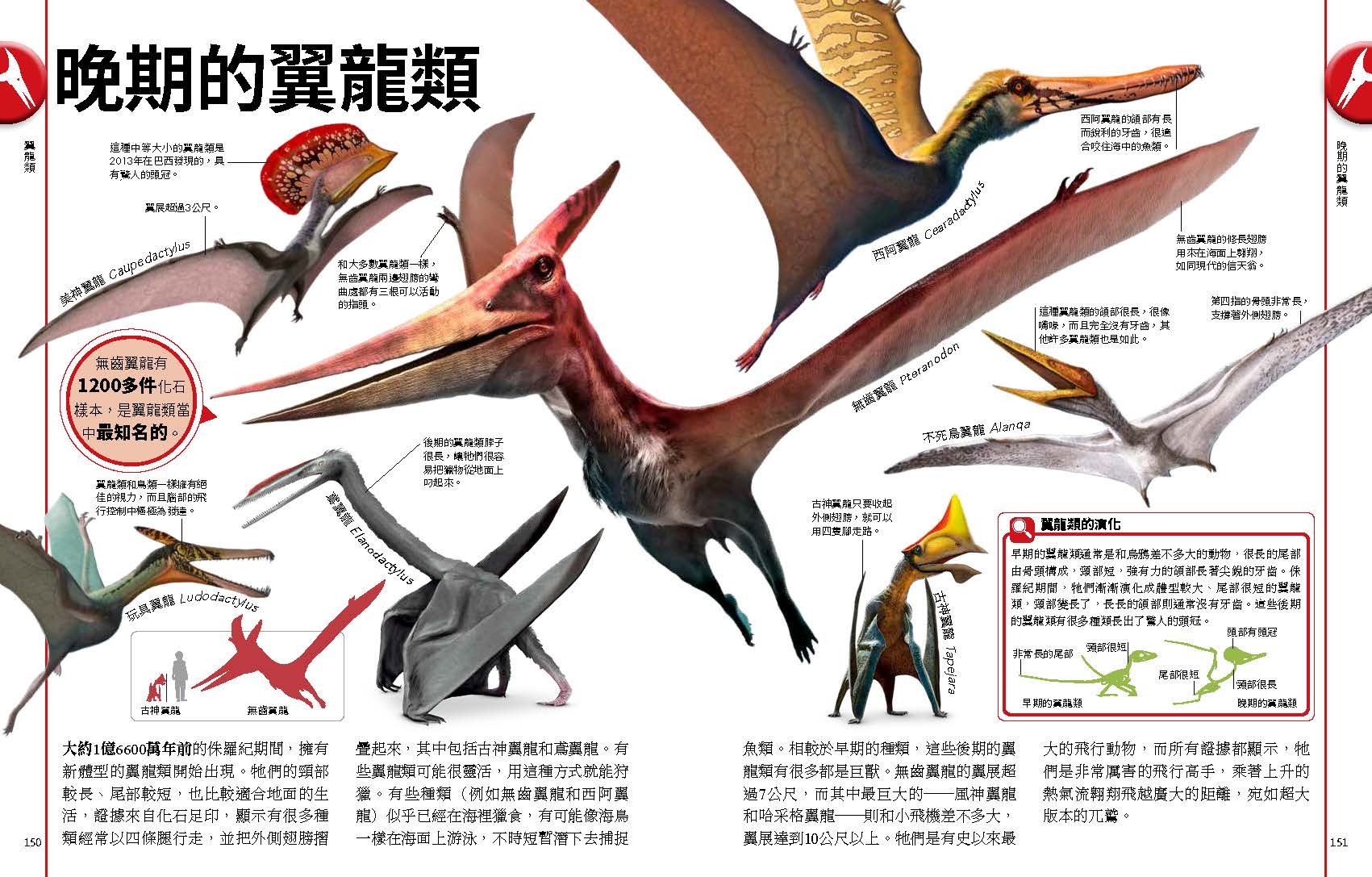 <img src="The Dinosaurs Book-06" alt="恐龍與史前動物終極圖鑑">