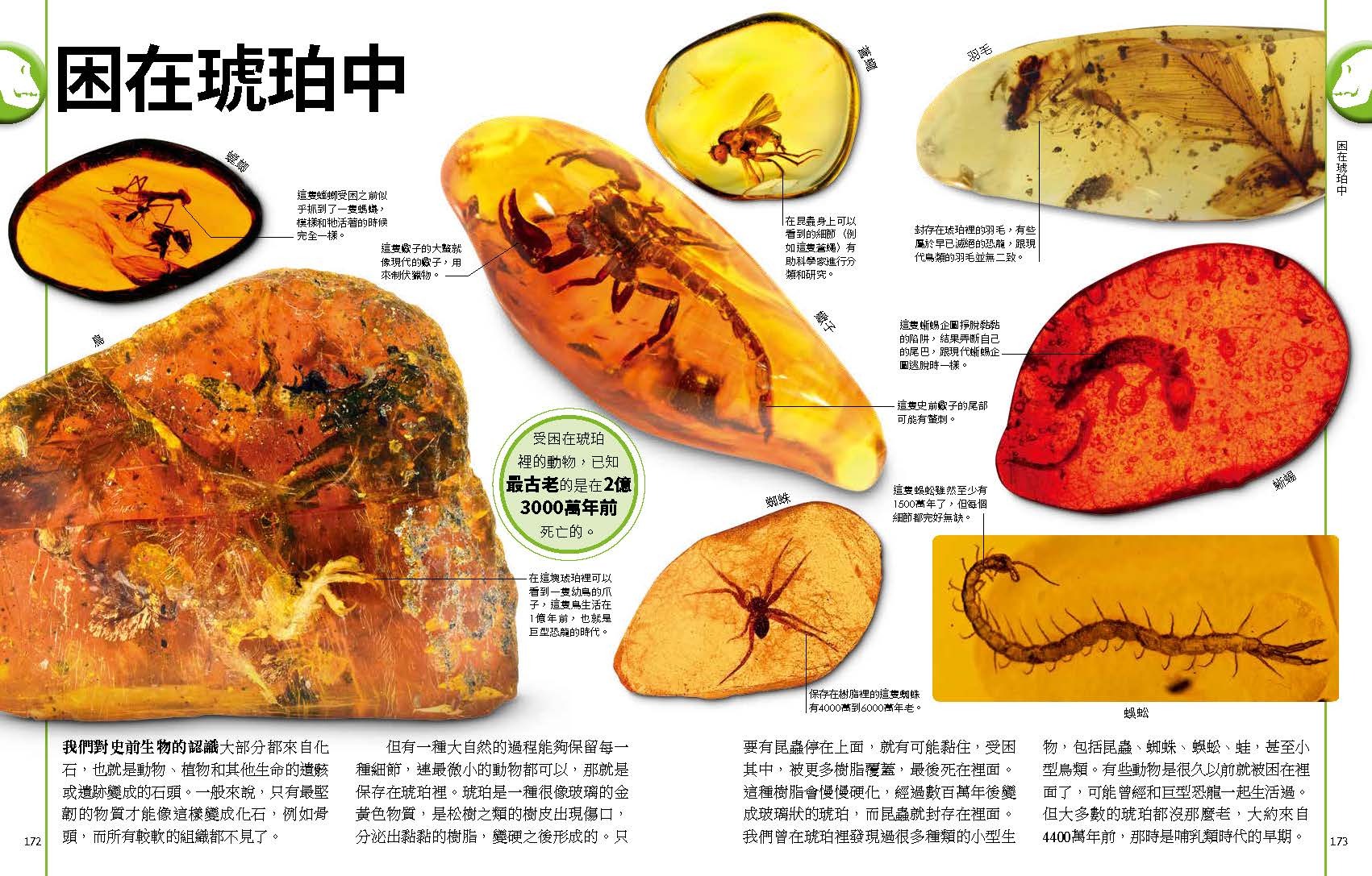 <img src="The Dinosaurs Book-08" alt="恐龍與史前動物終極圖鑑">