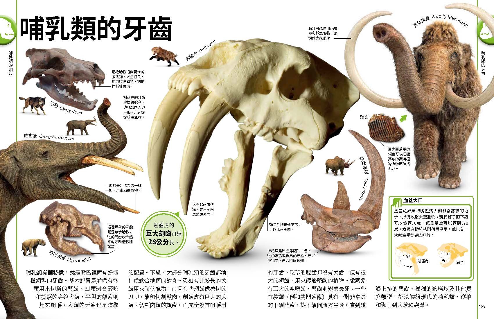 <img src="The Dinosaurs Book-09" alt="恐龍與史前動物終極圖鑑">