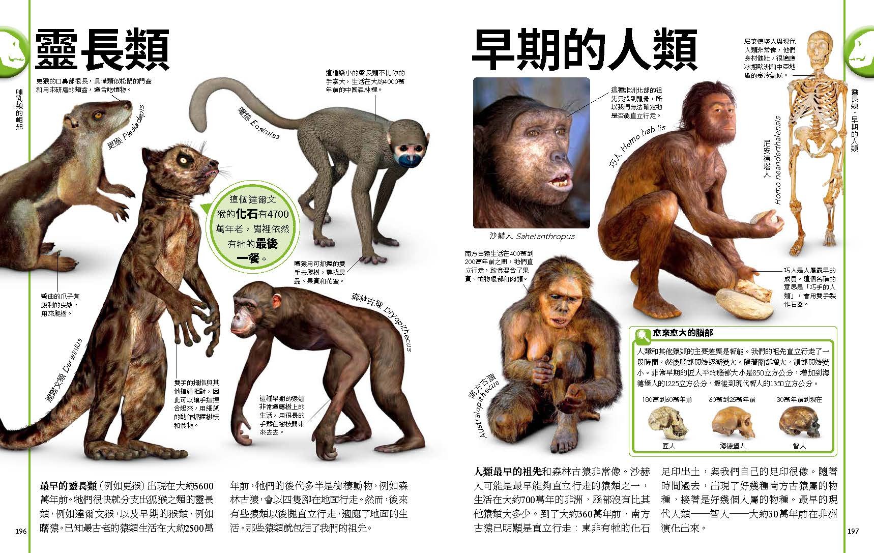<img src="The Dinosaurs Book-10" alt="恐龍與史前動物終極圖鑑">