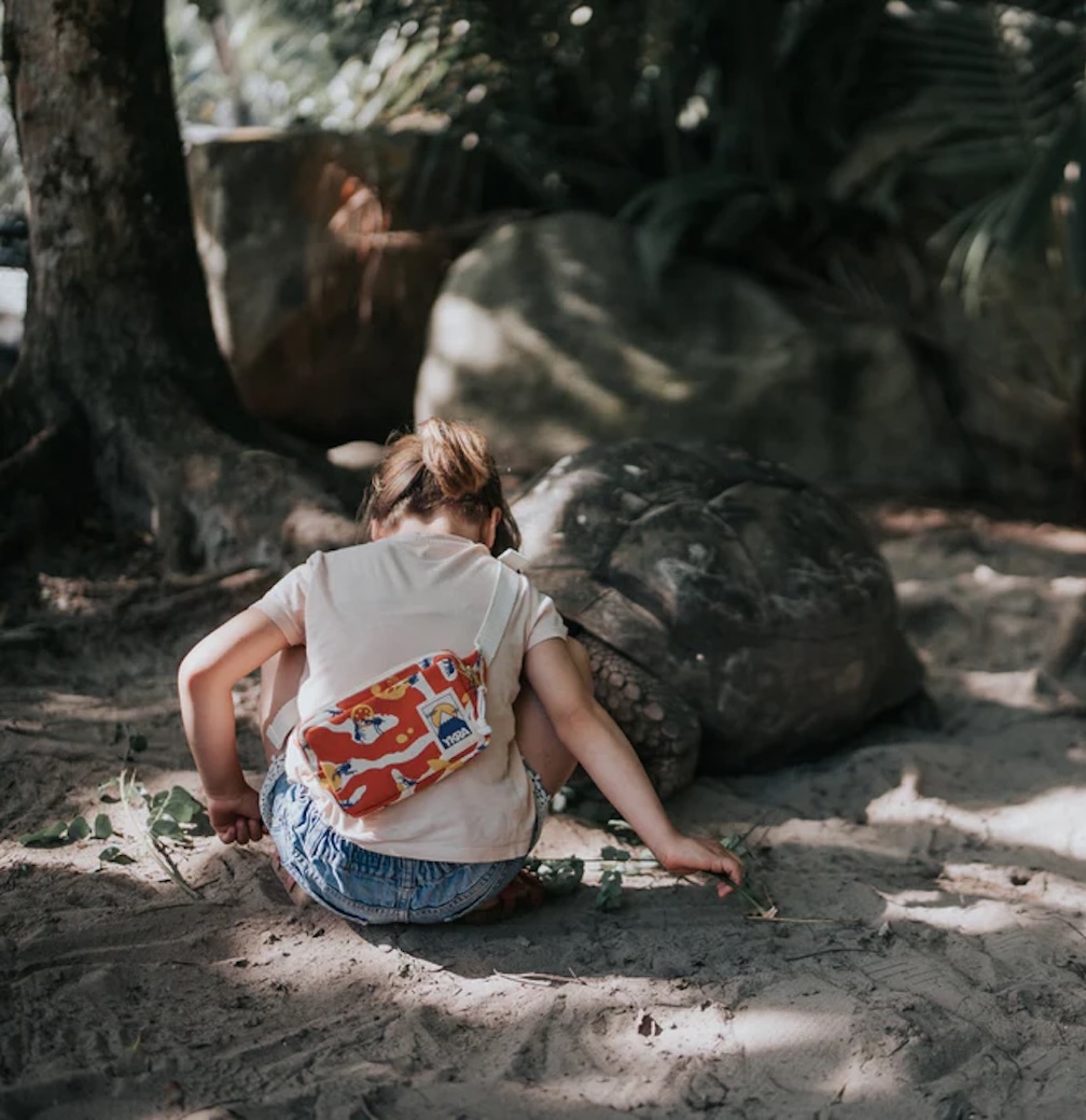 螞蟻 | 迷你肩腰包