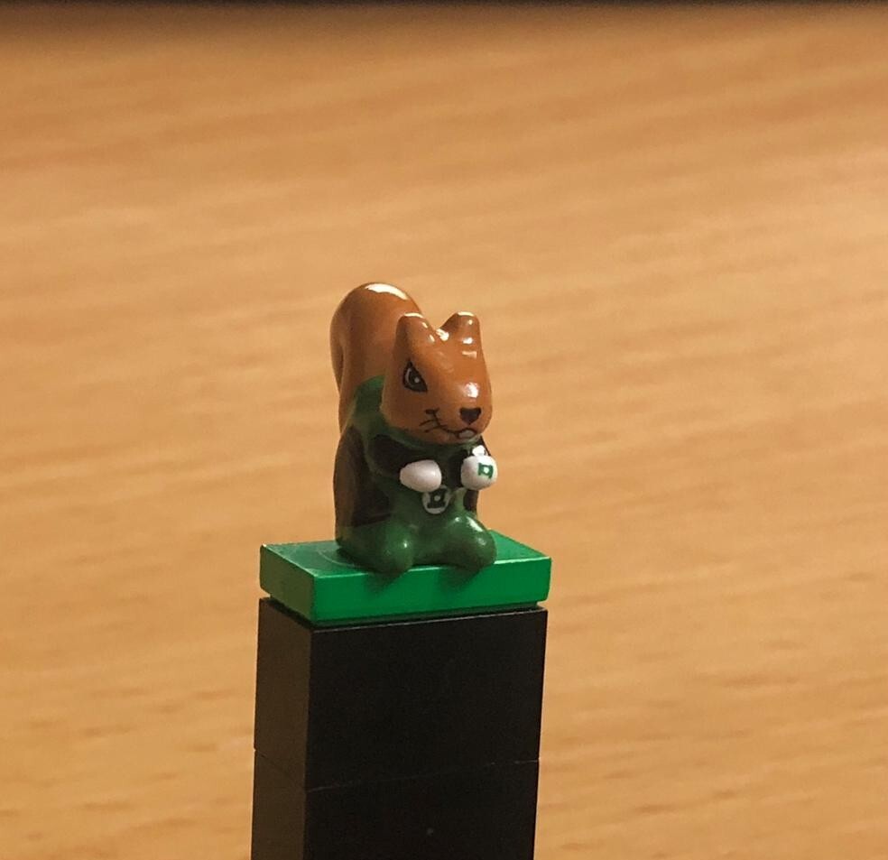 【預訂】【NIA】奇普