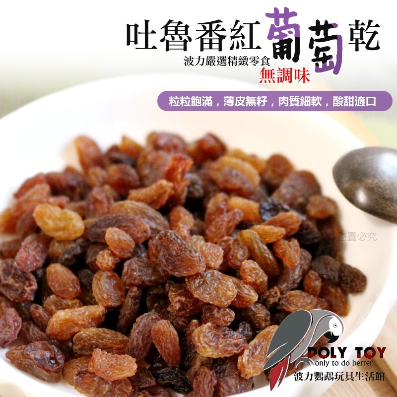 吐魯番紅葡萄乾 無調味 純天然 (人寵共食) 啃咬零食系列 波力鸚鵡玩具生活館