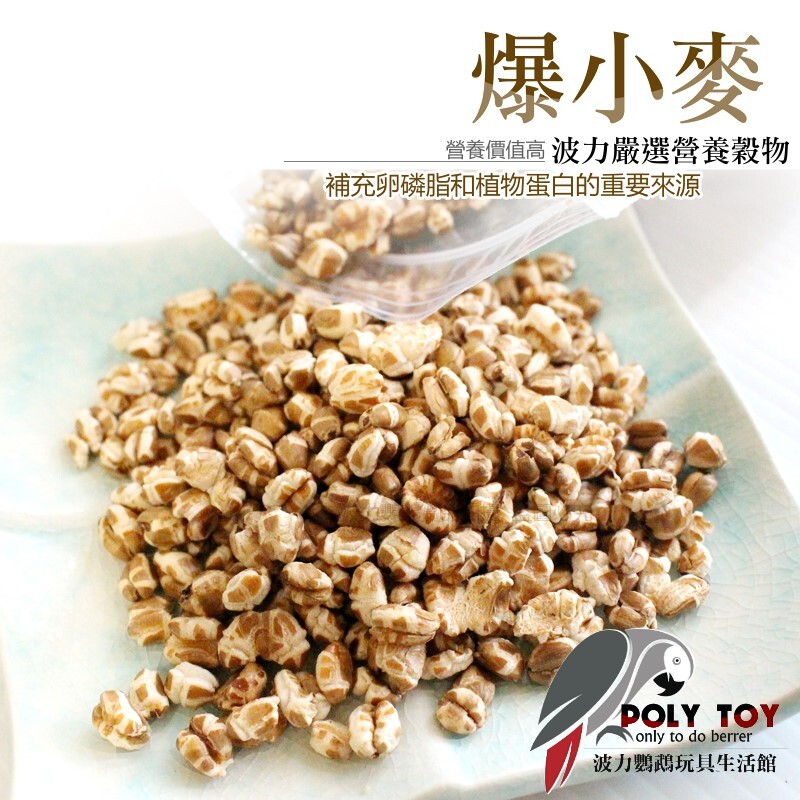 爆小麥 人寵共食 無調味 堅果穀物系列 波力鸚鵡玩具生活館
