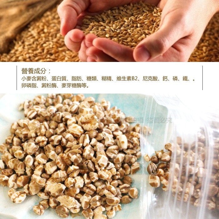 爆小麥 人寵共食 無調味 堅果穀物系列 波力鸚鵡玩具生活館