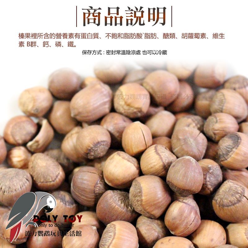 烘培小顆帶殼榛果 優質堅果 堅果系列 波力鸚鵡玩具生活館