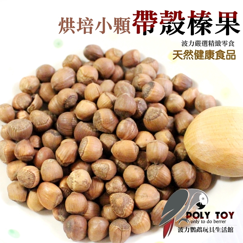 烘培小顆帶殼榛果 優質堅果 堅果系列 波力鸚鵡玩具生活館