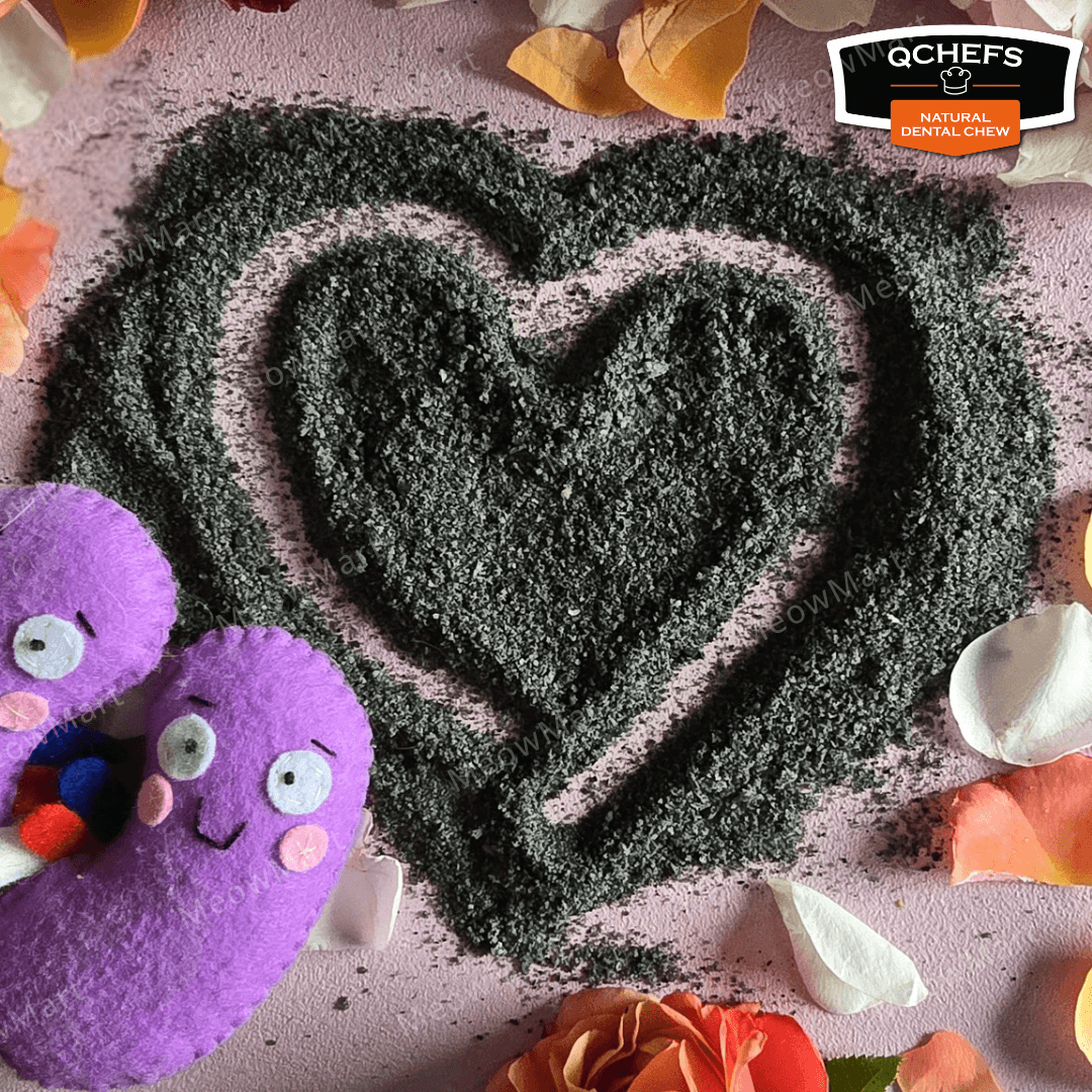 QCHEFS 貓貓專用黑炭芝士潔齒粉 70g