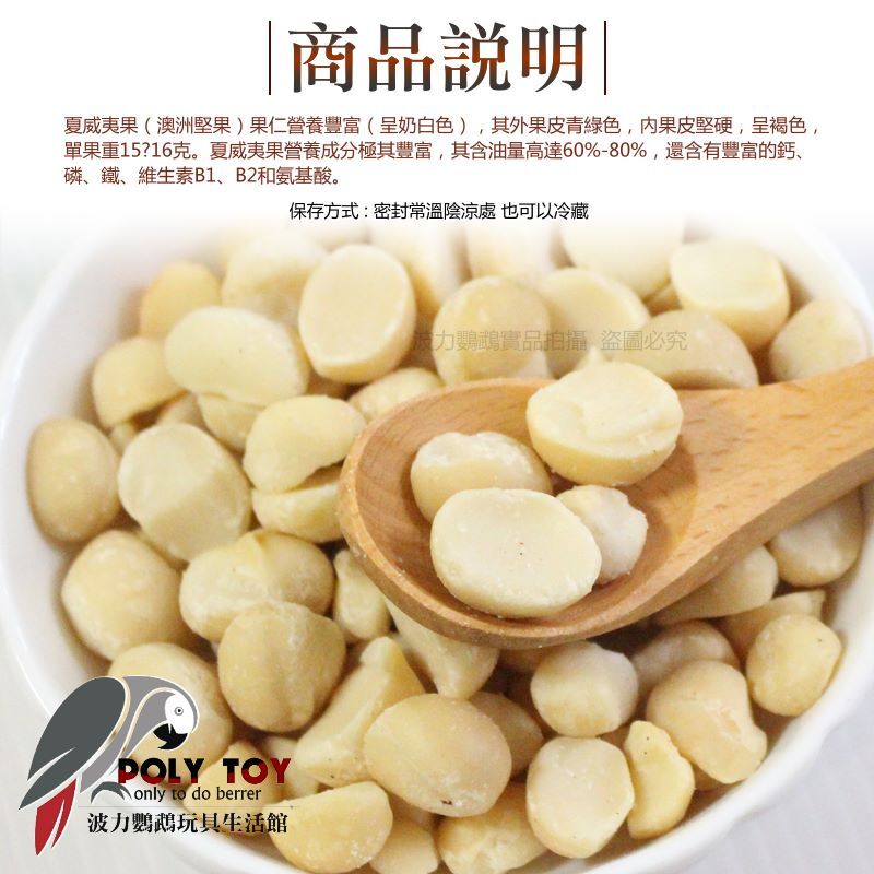 夏威夷果 澳洲 低溫烘培 優質核果 堅果系列 波力鸚鵡玩具生活館