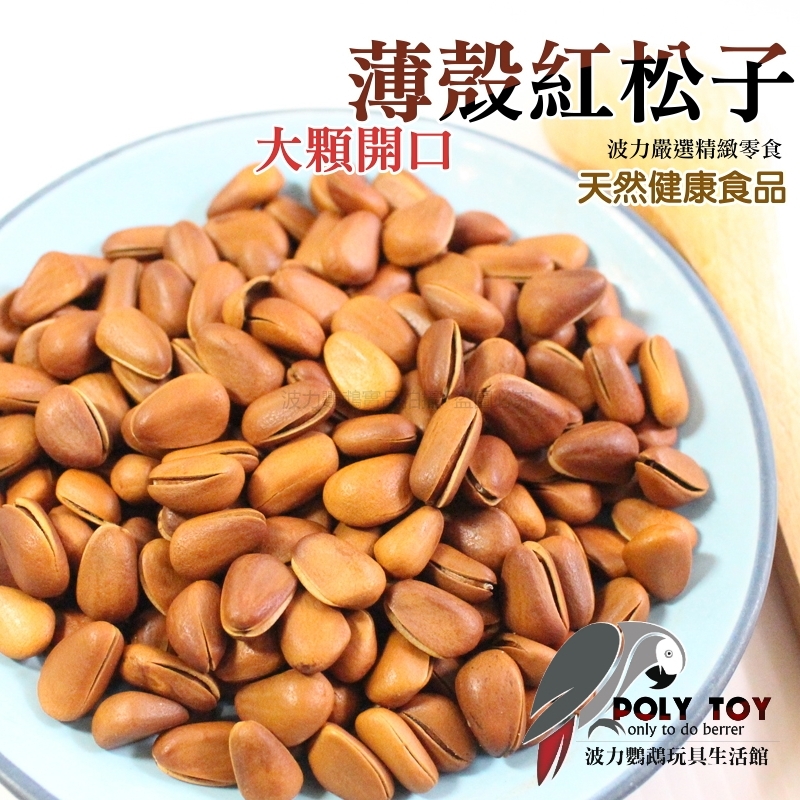 開口松子 大顆開口薄殼紅松子 優質堅果 堅果系列 波力鸚鵡玩具生活館