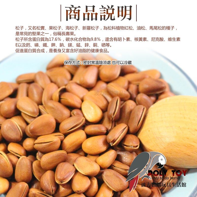 開口松子 大顆開口薄殼紅松子 優質堅果 堅果系列 波力鸚鵡玩具生活館