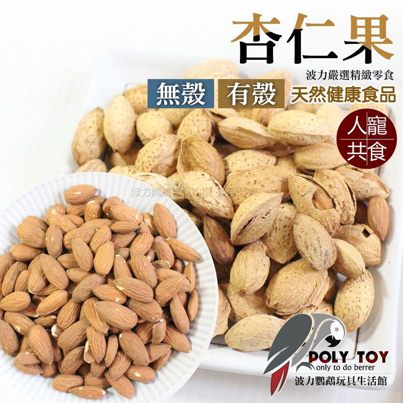 杏仁 杏仁果(有殼)(無殼)  堅果系列 波力鸚鵡玩具生活館