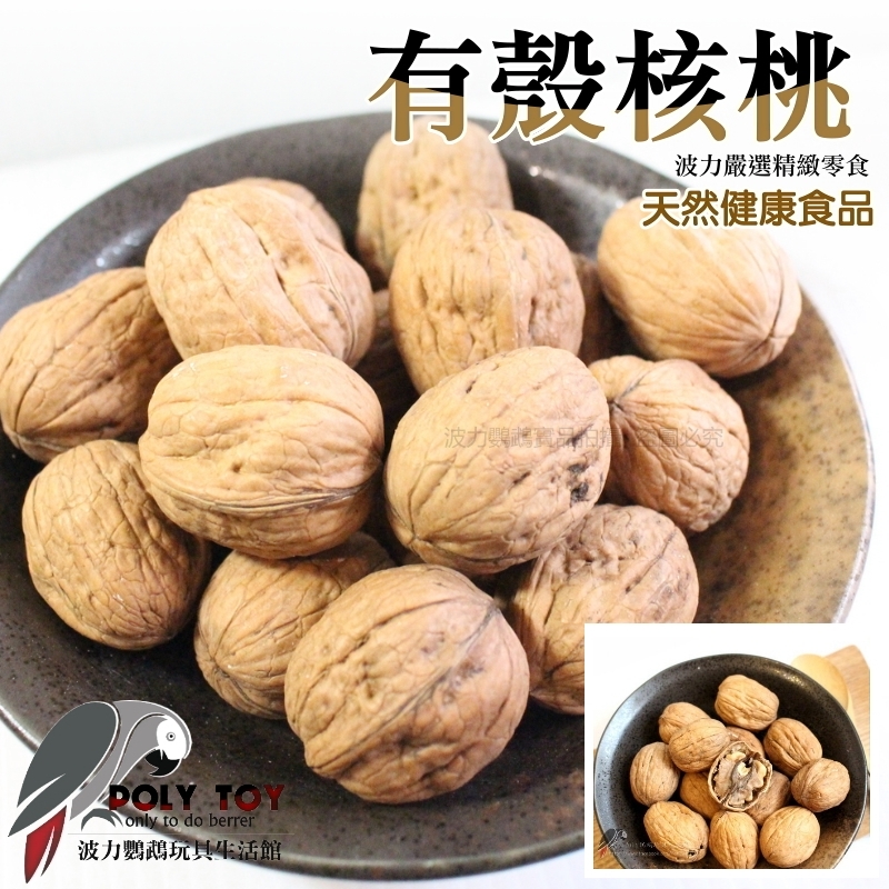 有殼核桃 純天然 堅果系列 波力鸚鵡玩具生活館
