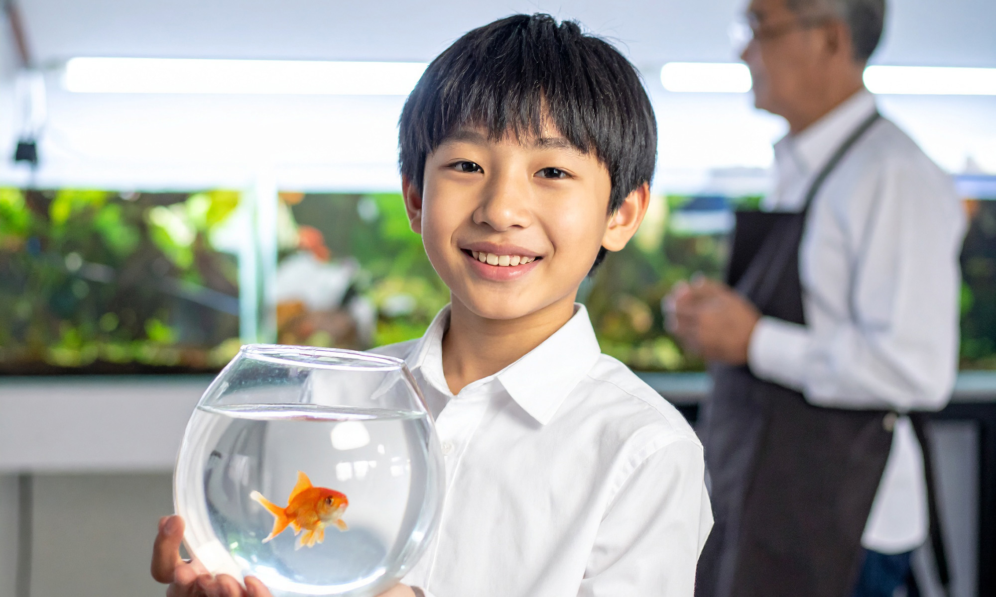 超實用的挑選健康魚類小技巧，讓你輕鬆帶回活潑健康的魚寶貝