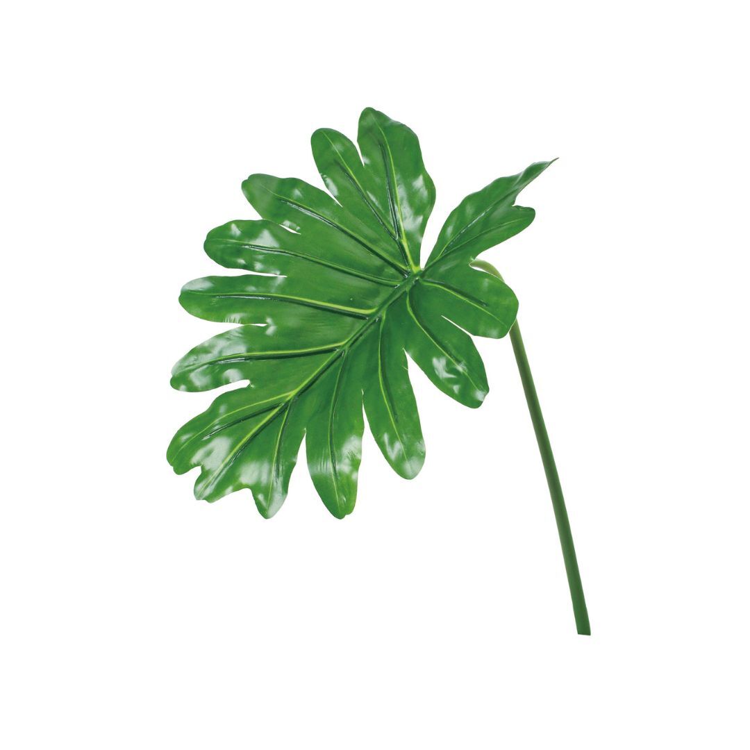 人造葉UV再生系列 圓葉天使蔓綠絨