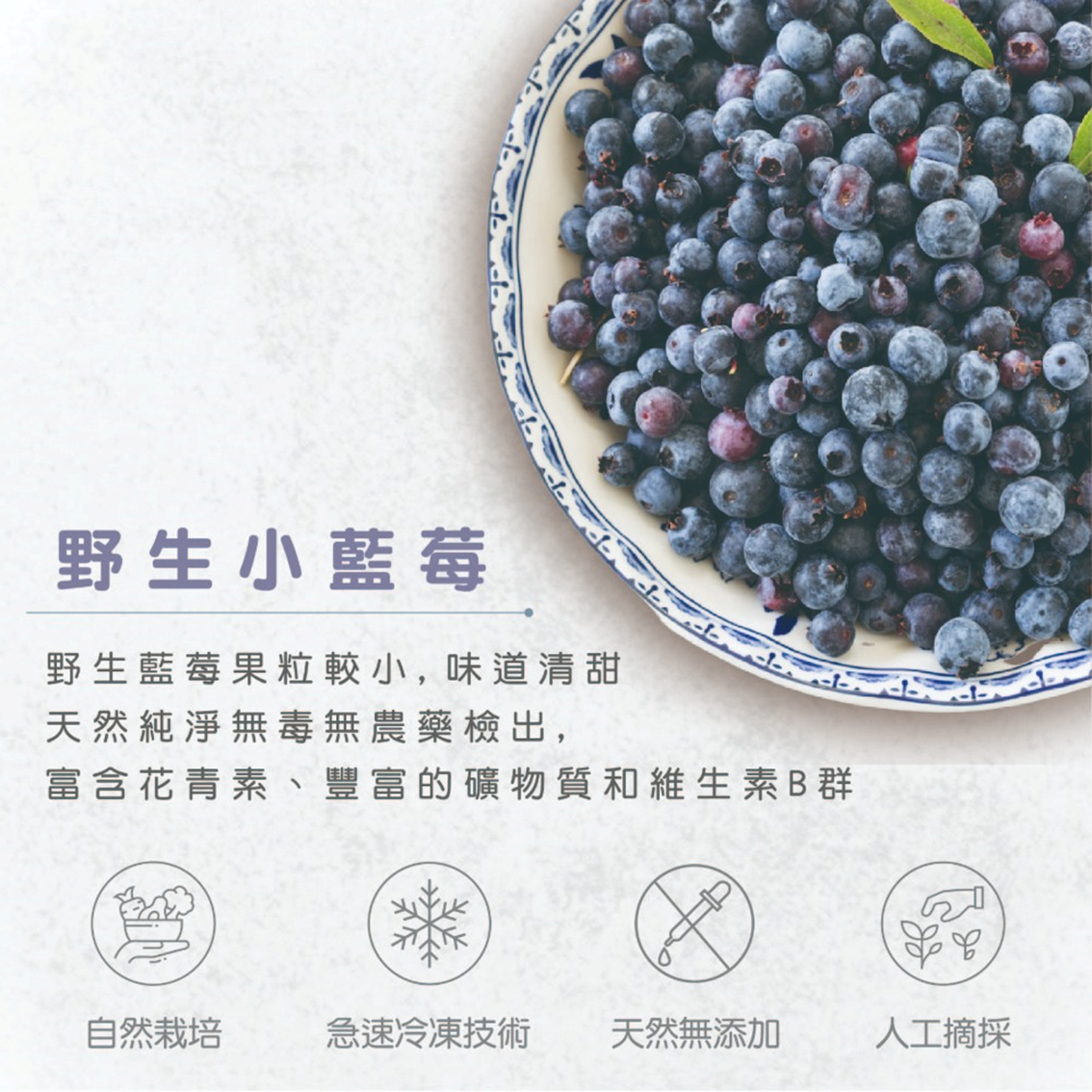 (團購)誠麗莓果(03/03到貨)