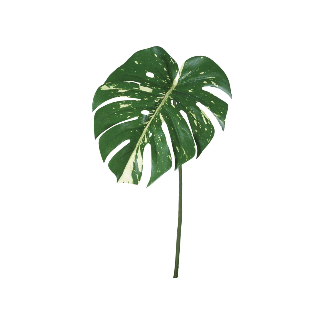 人造葉 龜背芋 2色