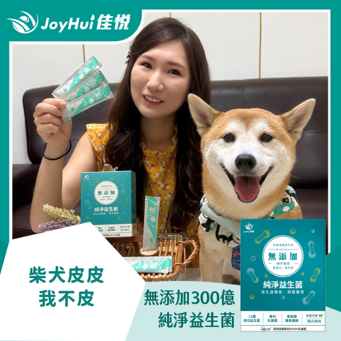 無添加300億益生菌_柴犬皮皮 我不皮