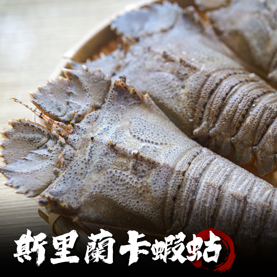 斯里蘭卡 生凍蝦姑