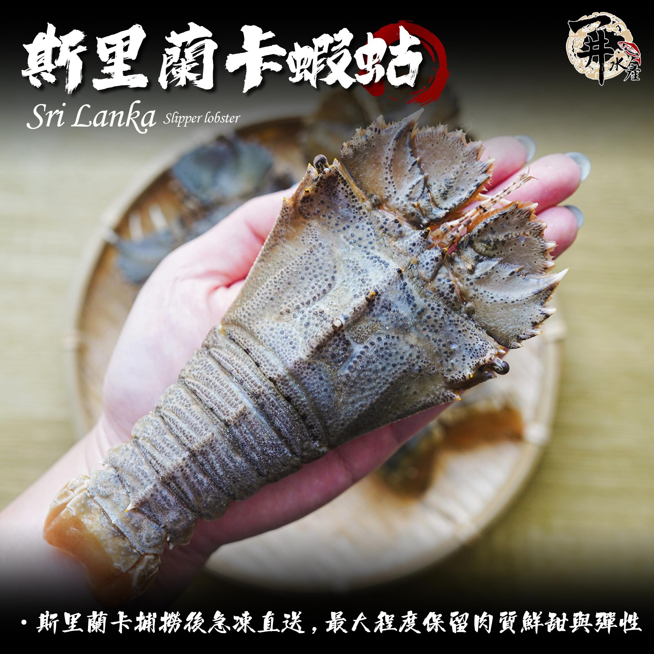 斯里蘭卡 生凍蝦姑