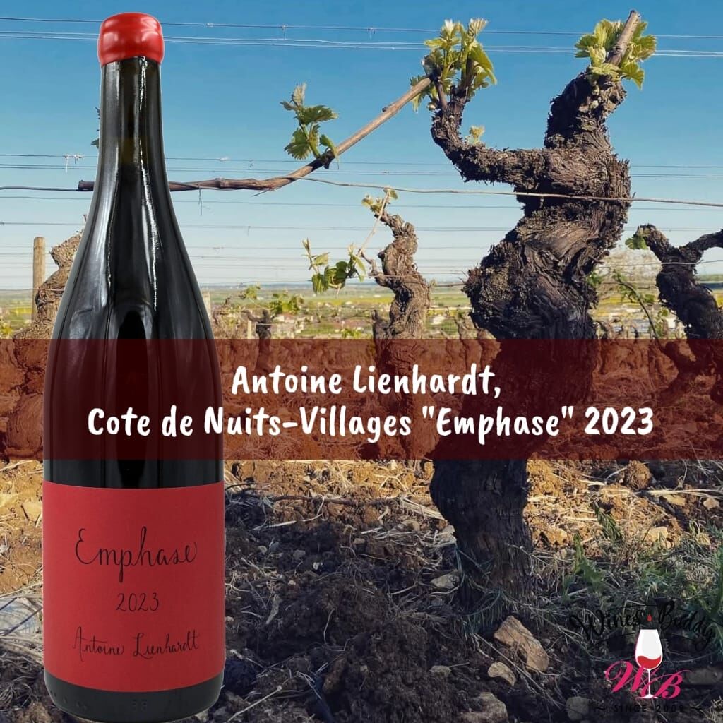Antoine Lienhardt, Cote de Nuits-Villages "Emphase" 2023 (750ml)