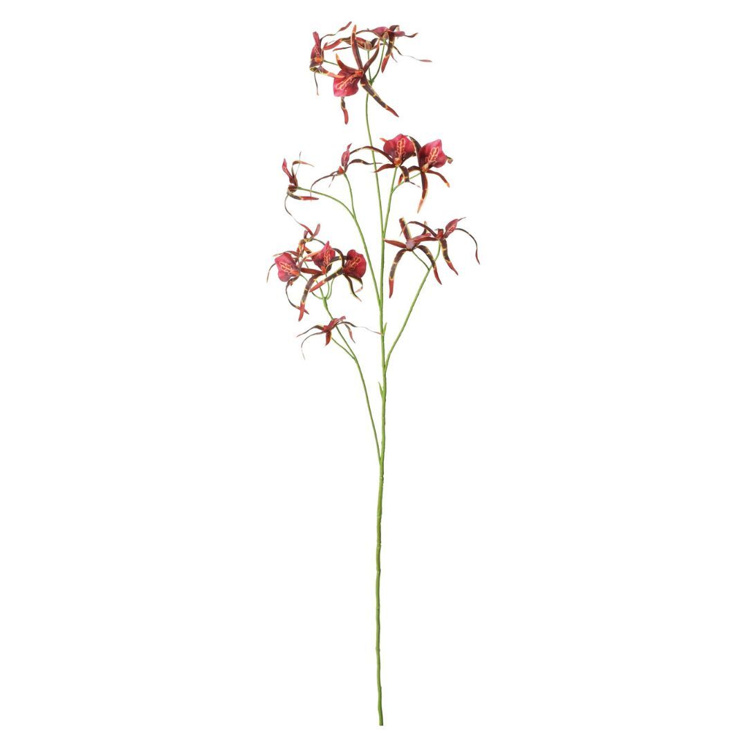 人造花 紫天王文心蘭 3色