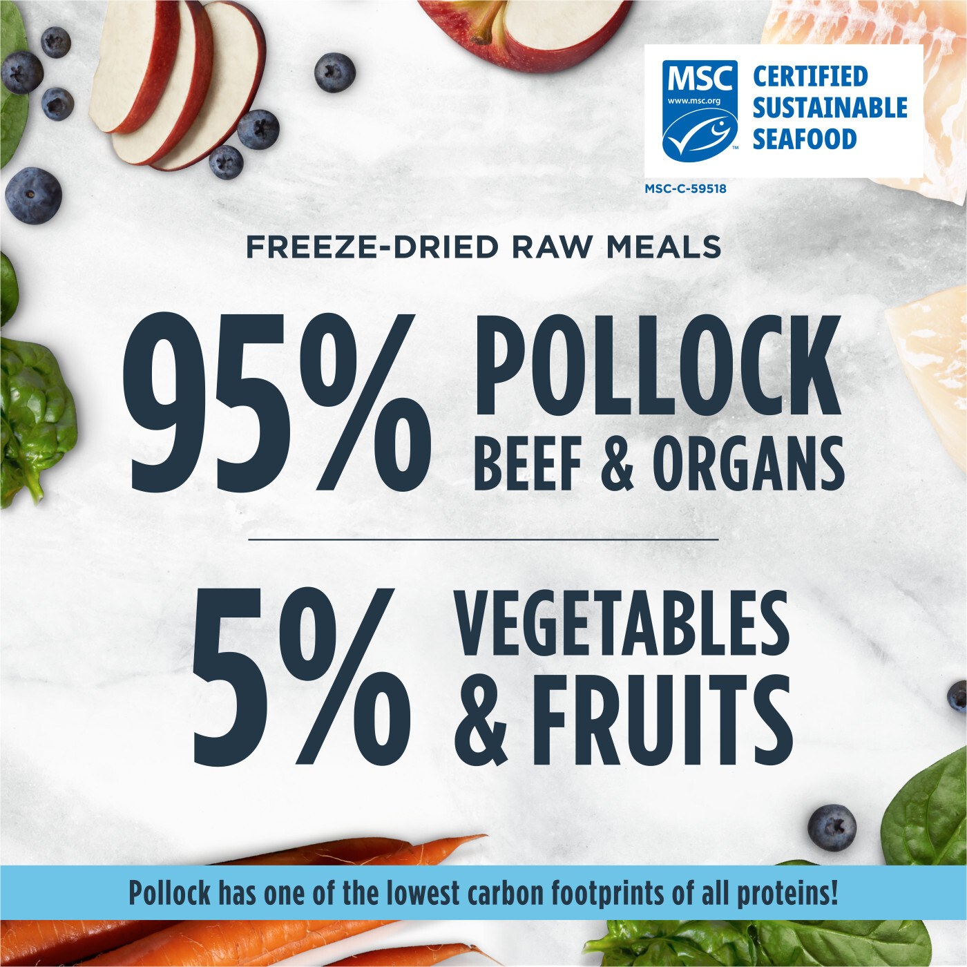 Instinct®野生阿拉斯加鱈魚︱凍乾生肉貓糧 9.5oz