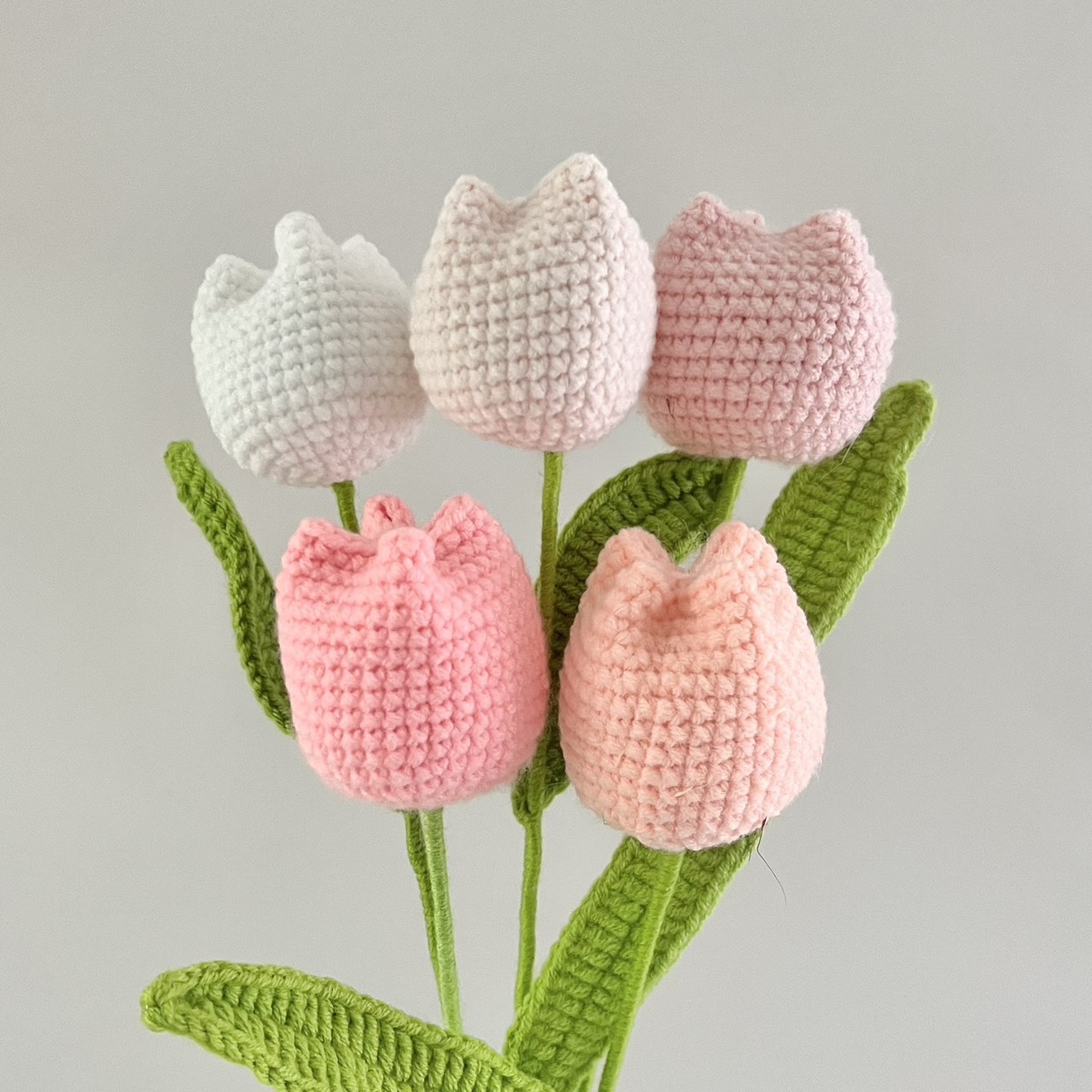 毛線花-胖胖鬱金香