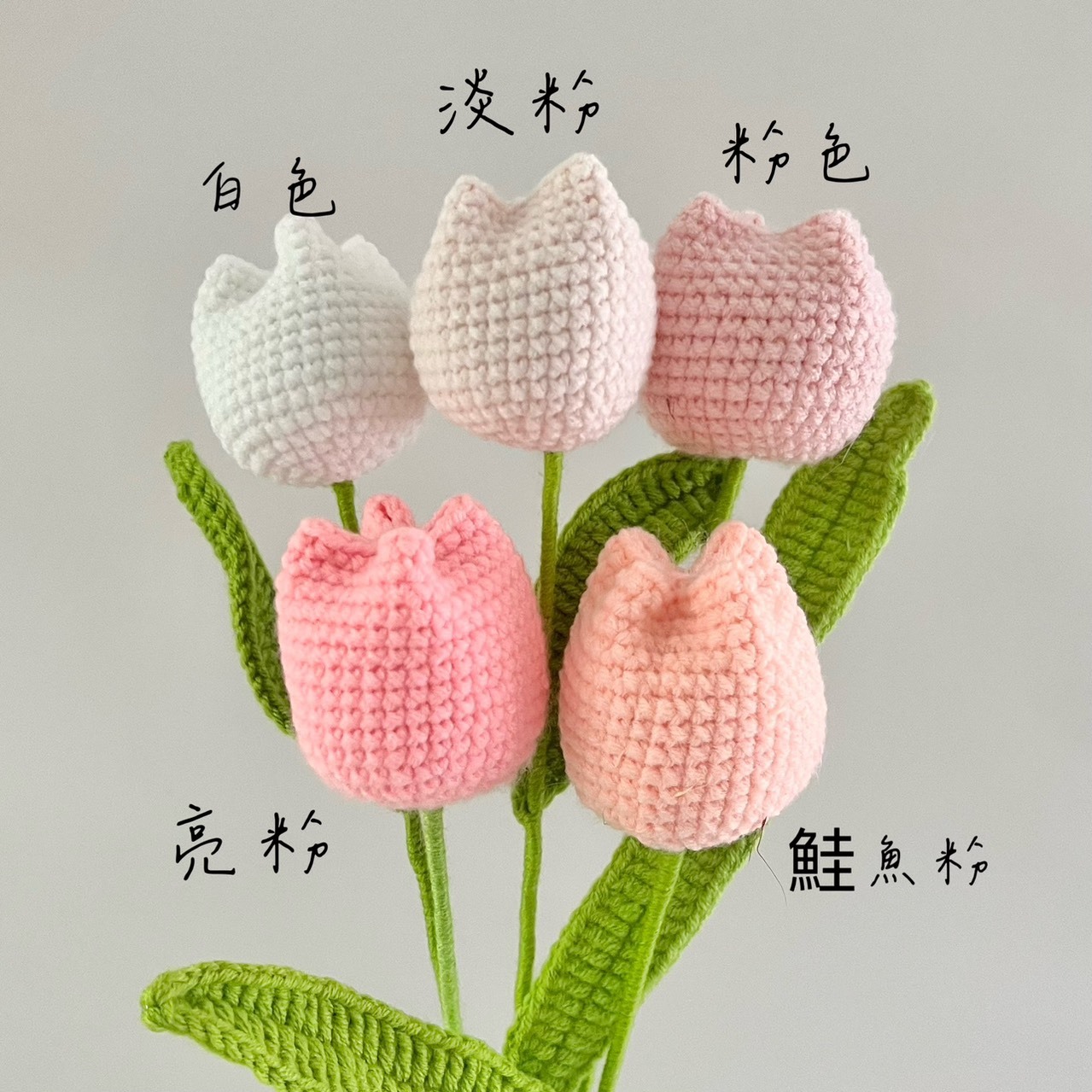 毛線花-胖胖鬱金香