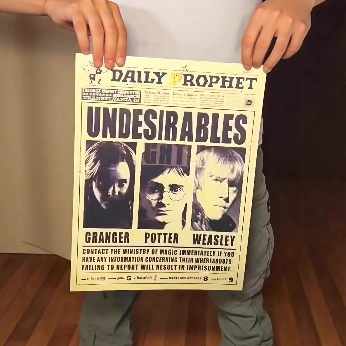 哈利波特3D裸眼立體光柵畫