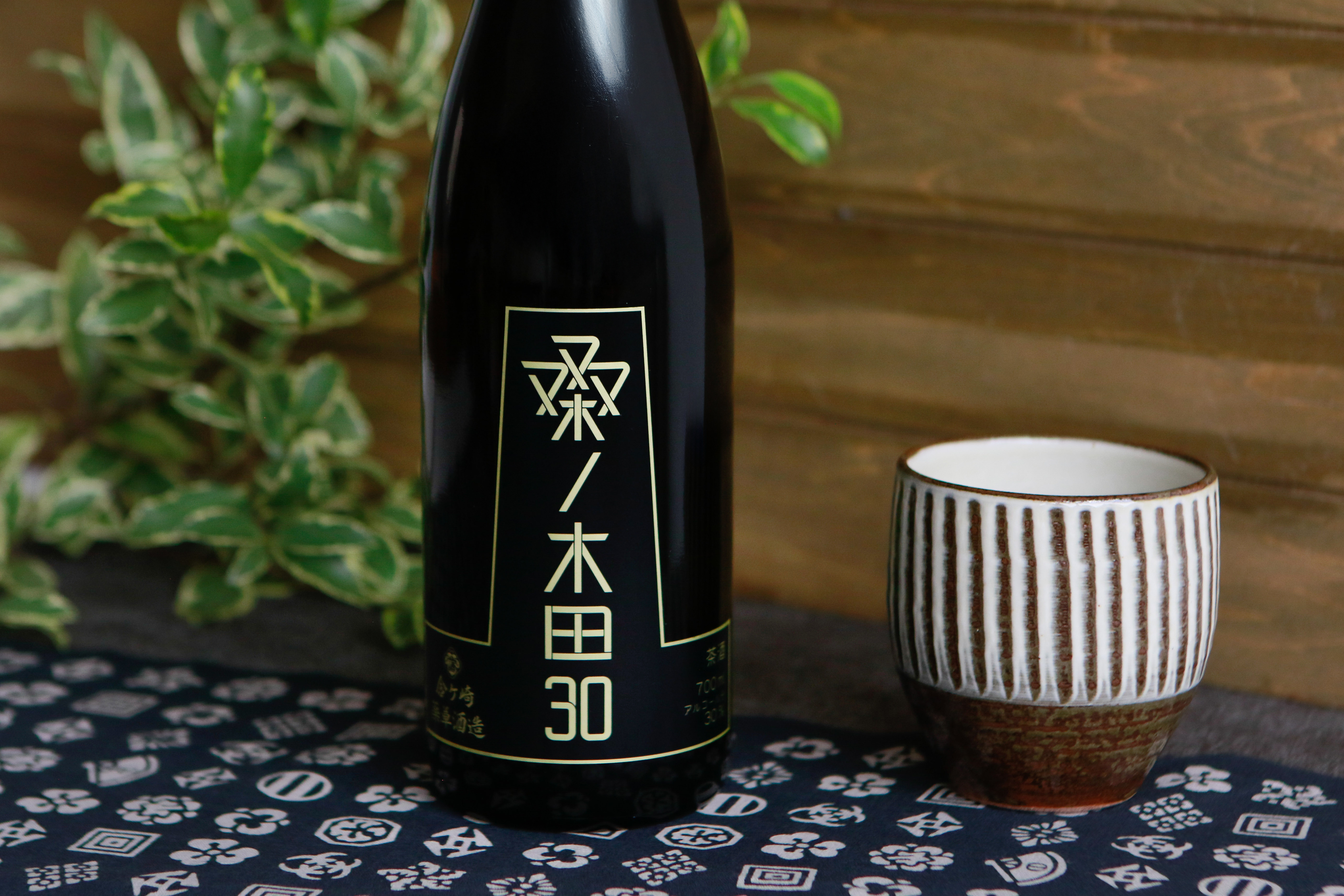 金崎 桑ノ木田30