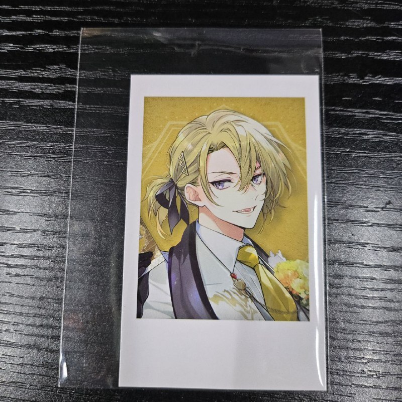 彩虹社 LUCA 拍立得 N                    #YY12