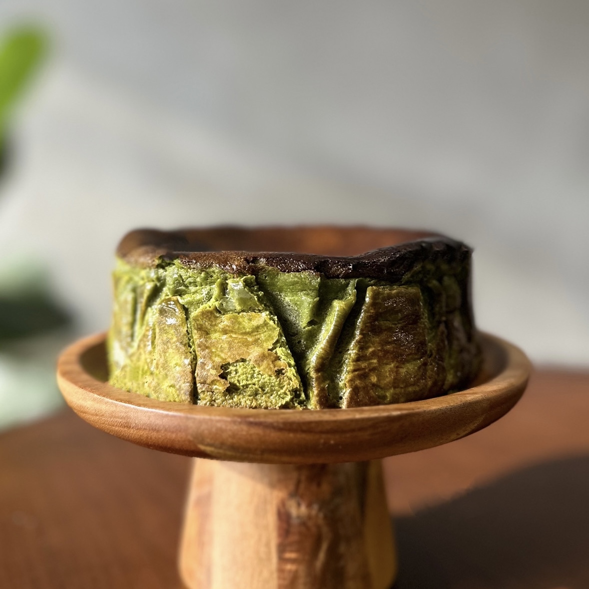 🌿 龍膽藏抹巴斯克