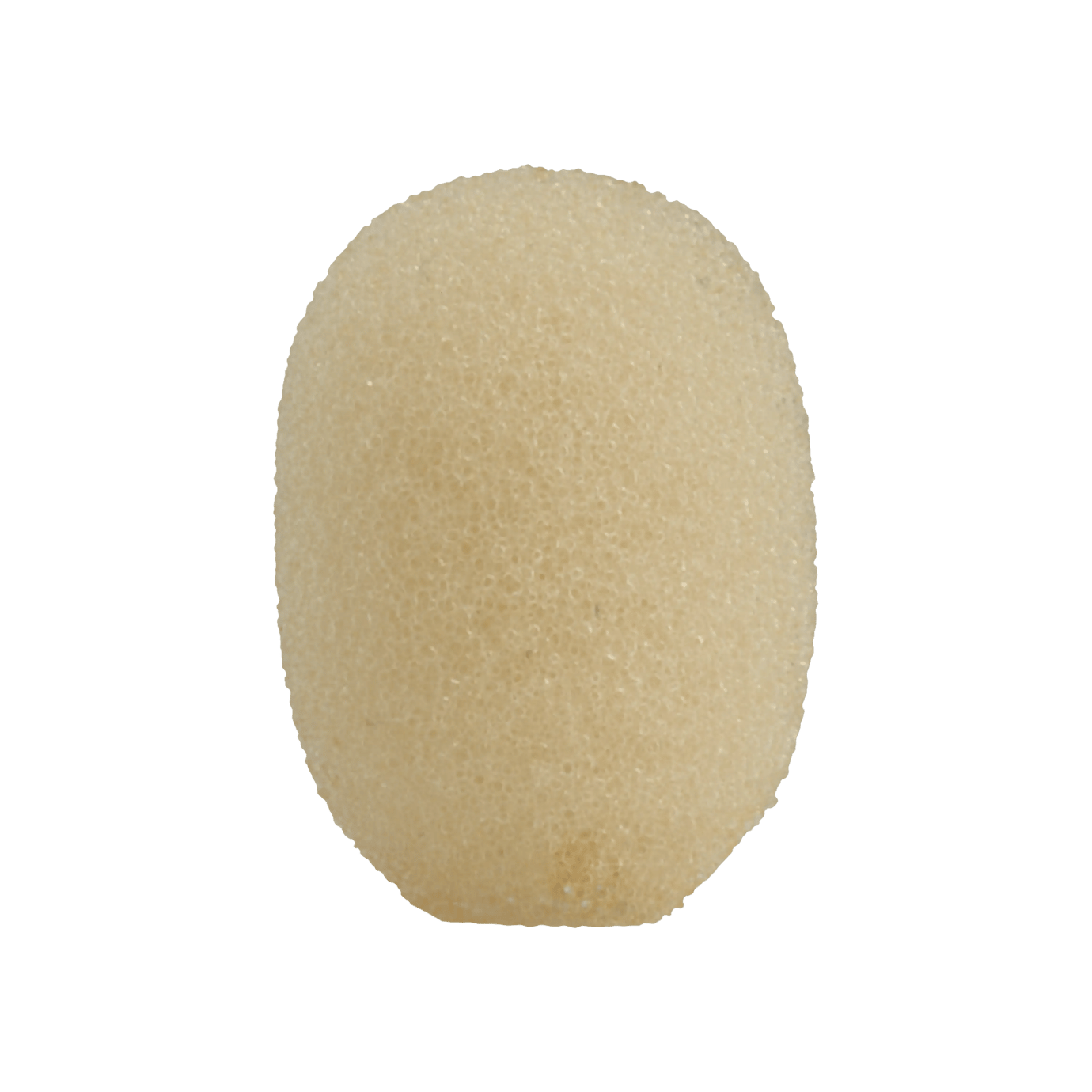 Shure RPM306 Windscreen