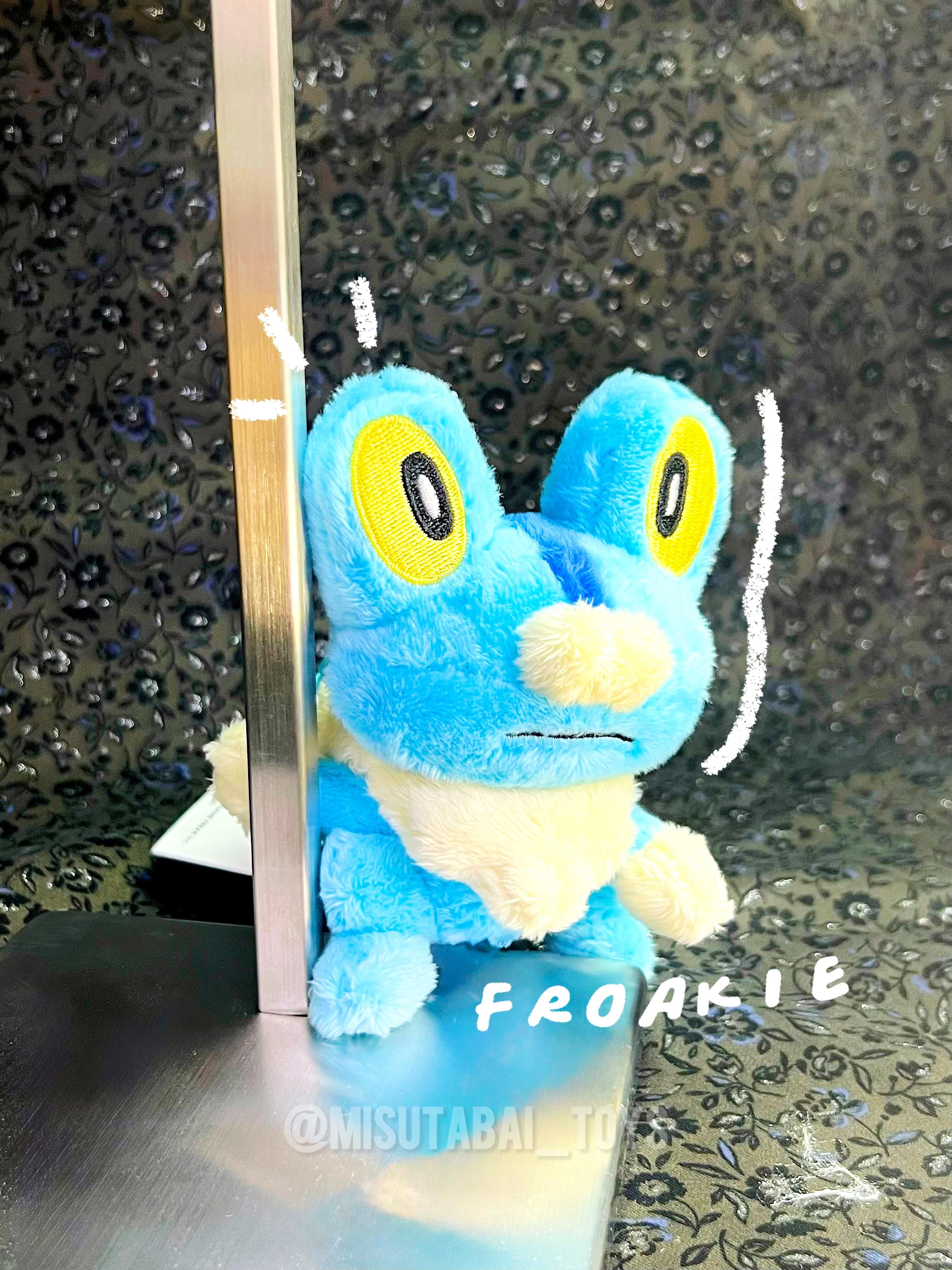 Pokemon Center Original Plush Keychain: Froakie