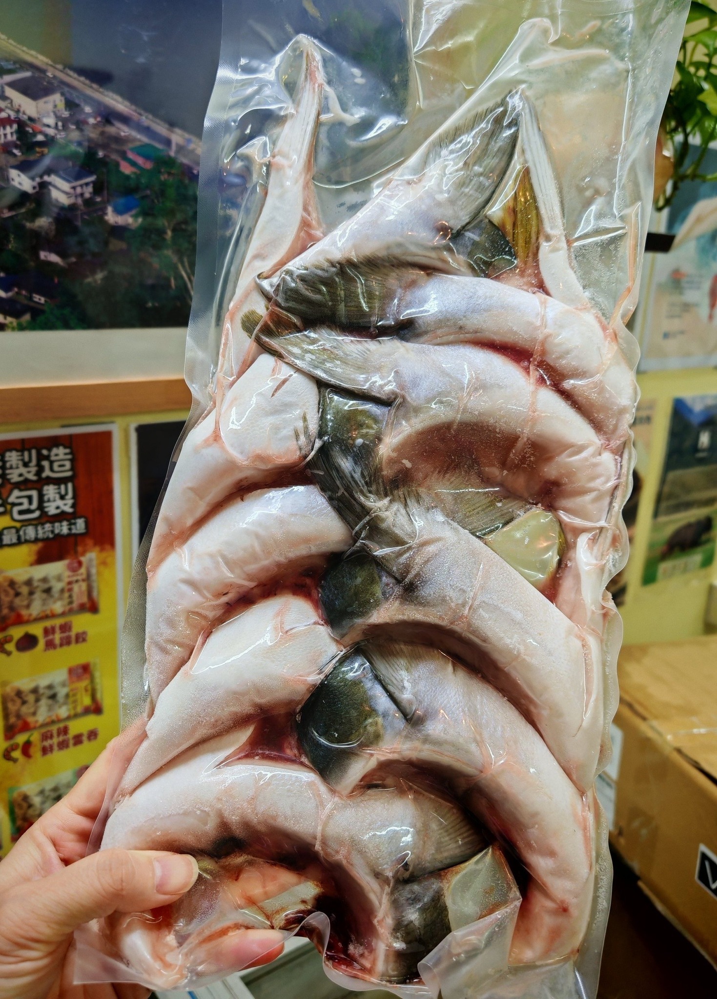 1月優惠-日本九州四國半月油甘魚鮫(1KG優惠裝)