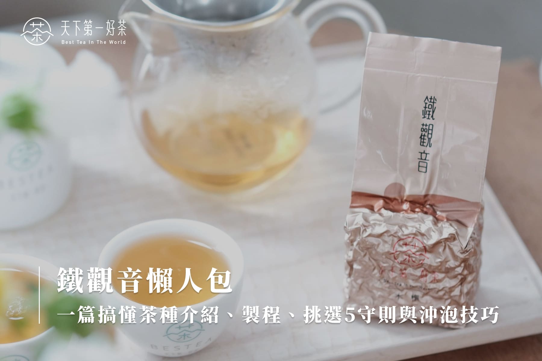 鐵觀音懶人包｜一篇搞懂茶種介紹、製程、挑選5守則與沖泡技巧
