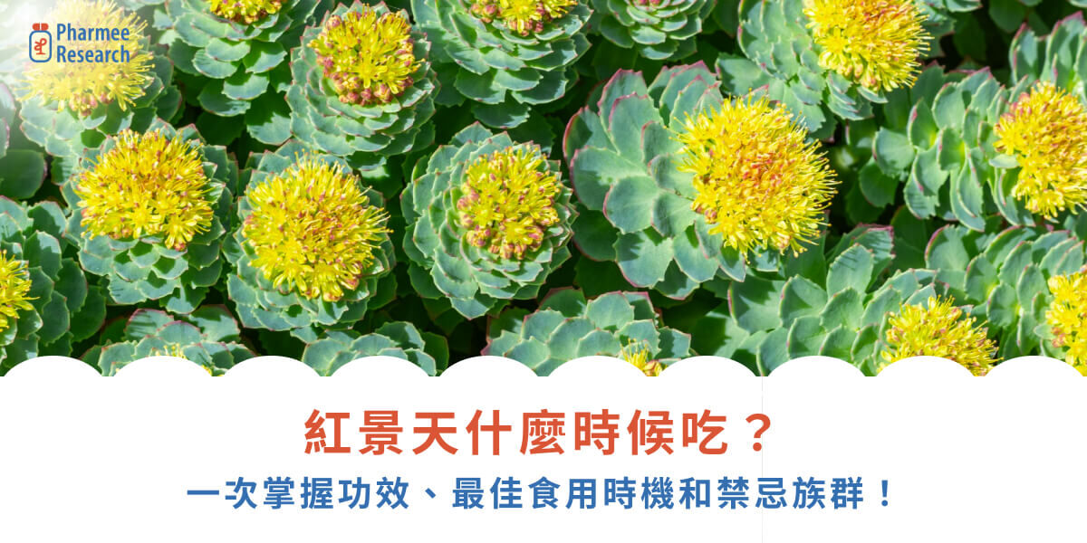 紅景天什麼時候吃？一次掌握功效、最佳食用時機和禁忌族群！