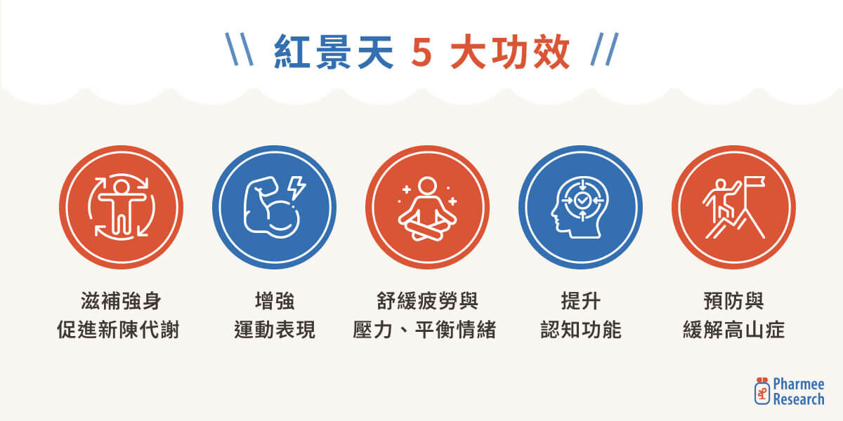 紅景天 5 大功效