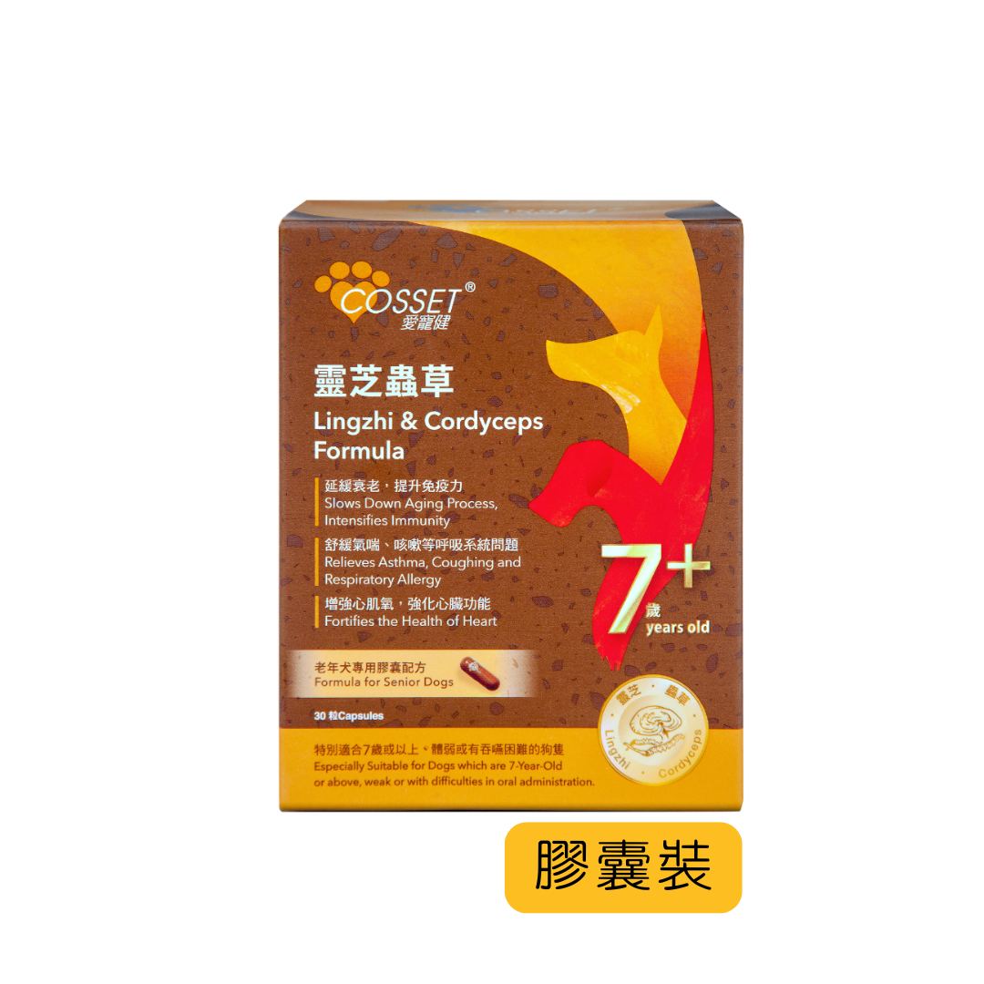 Cosset 靈芝蟲草老年犬專用膠囊配方