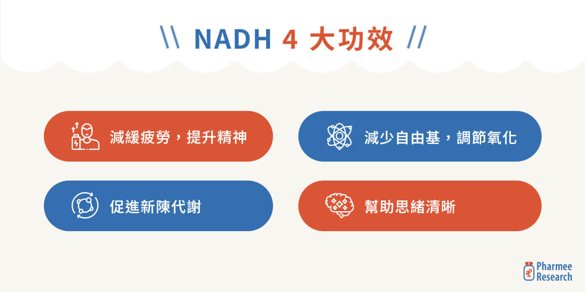 NADH 4 大功效