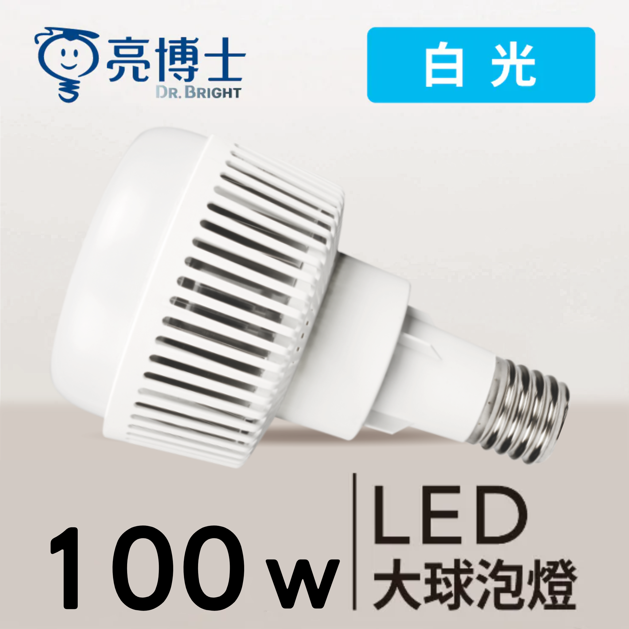 LED 大球泡燈 V190  100W